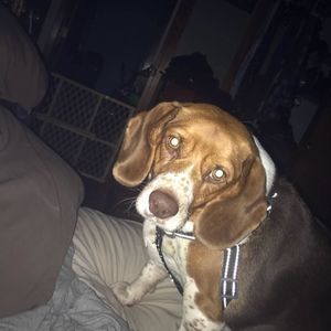 Meet your Posher, Rhonda